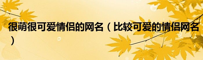 很萌很可爱情侣的网名(比较可爱的情侣网名)
