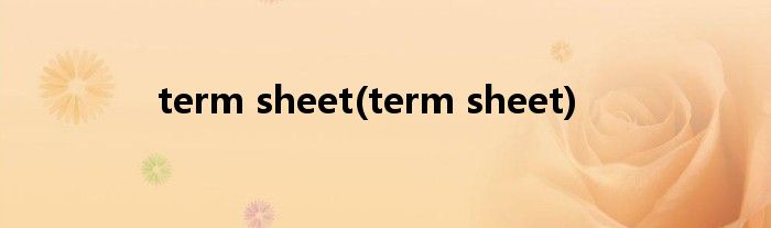 term sheet(term sheet)