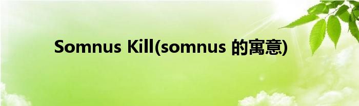 Somnus Kill(somnus 的寓意)