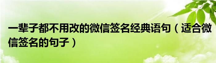 一辈子都不用改的微信签名经典语句(适合微信签名的句子)