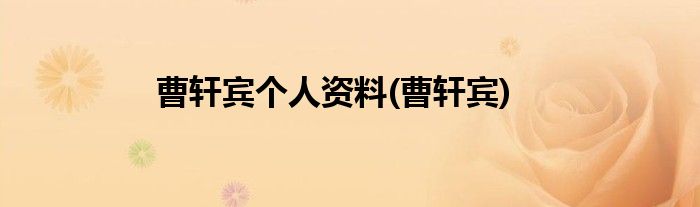 曹轩宾个人资料(曹轩宾)