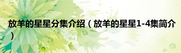 放羊的星星分集介绍(放羊的星星1-4集简介)