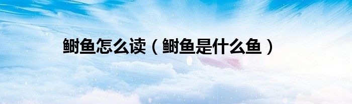 鲥鱼怎么读(鲥鱼是什么鱼)