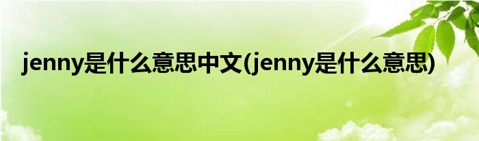 jenny是什么意思中文(jenny是什么意思)