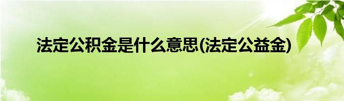 法定公积金是什么意思(法定公益金)