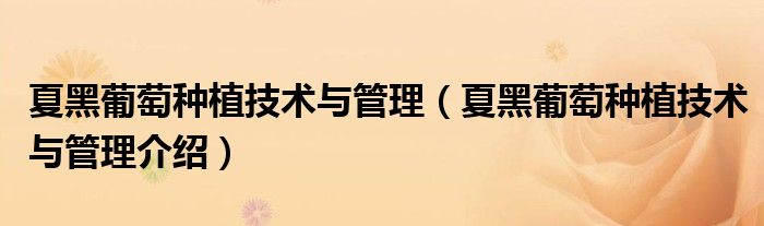 夏黑葡萄种植技术与管理(夏黑葡萄种植技术与管理介绍)