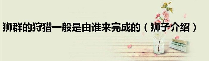 狮群的狩猎一般是由谁来完成的(狮子介绍)