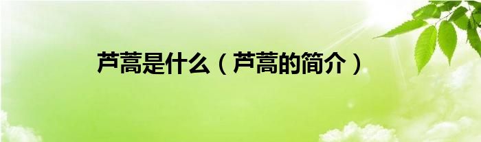 芦蒿是什么（芦蒿的简介）