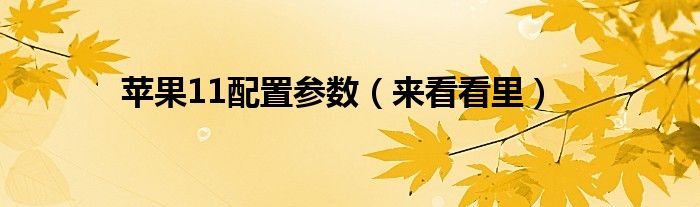 苹果11配置参数(来看看里)