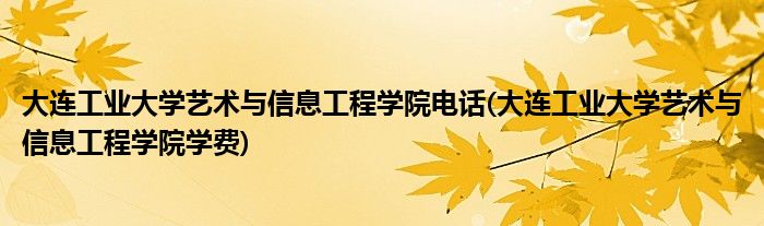 大连工业大学艺术与信息工程学院电话(大连工业大学艺术与信息工程学院学费)