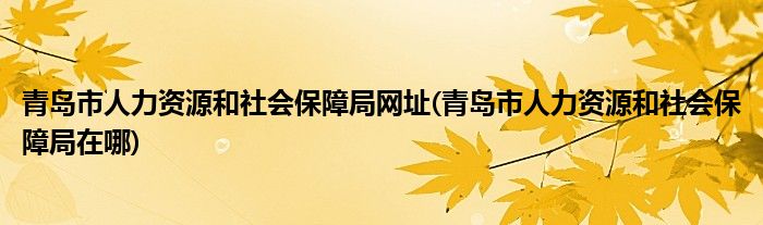青岛市人力资源和社会保障局网址(青岛市人力资源和社会保障局在哪)