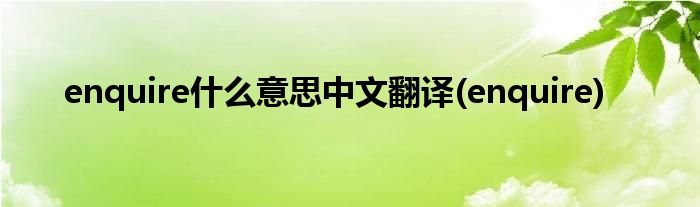 enquire什么意思中文翻译(enquire)