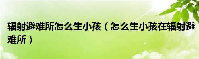 辐射避难所怎么生小孩(怎么生小孩在辐射避难所)