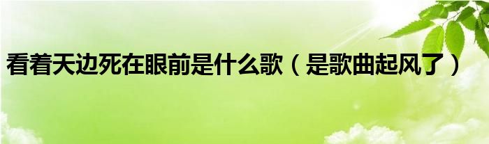 看着天边死在眼前是什么歌(是歌曲起风了)