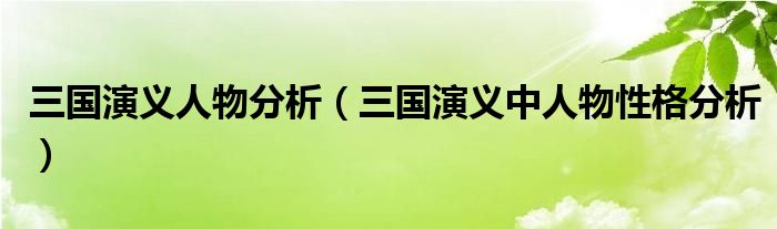 三国演义人物分析(三国演义中人物性格分析)