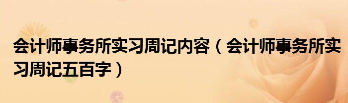 会计师事务所实习周记内容(会计师事务所实习周记五百字)