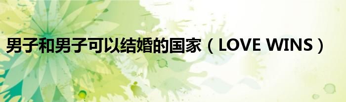 男子和男子可以结婚的国家(LOVE WINS)