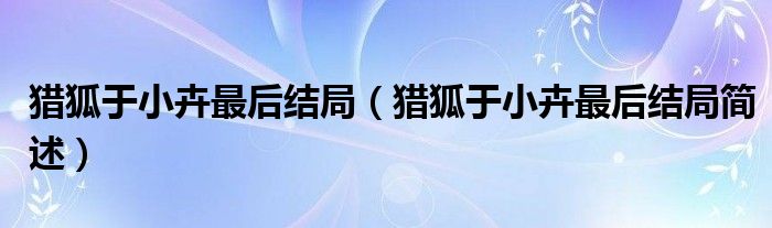 猎狐于小卉最后结局(猎狐于小卉最后结局简述)