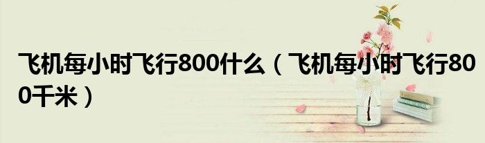 飞机每小时飞行800什么(飞机每小时飞行800千米)
