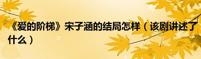《爱的阶梯》宋子涵的结局怎样(该剧讲述了什么)