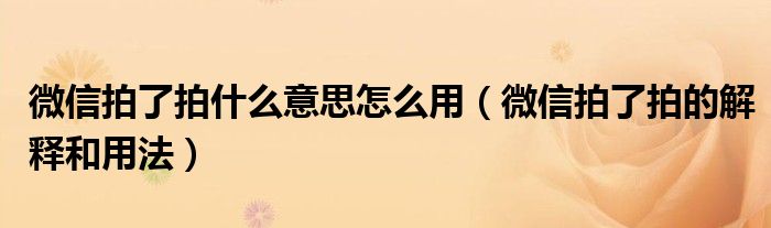 微信拍了拍什么意思怎么用(微信拍了拍的解释和用法)