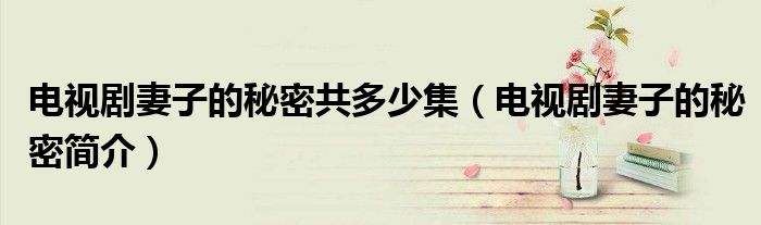 电视剧妻子的秘密共多少集(电视剧妻子的秘密简介)