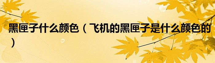 黑匣子什么颜色(飞机的黑匣子是什么颜色的)