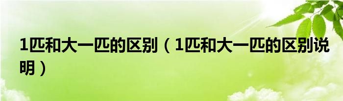 1匹和大一匹的区别(1匹和大一匹的区别说明)