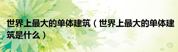 世界上最大的单体建筑(世界上最大的单体建筑是什么)