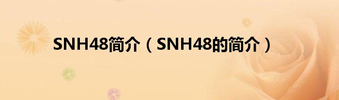 SNH48简介(SNH48的简介)