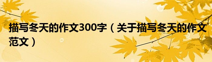 描写冬天的作文300字(关于描写冬天的作文范文)