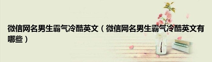 微信网名男生霸气冷酷英文(微信网名男生霸气冷酷英文有哪些)