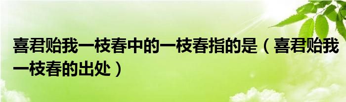 喜君贻我一枝春中的一枝春指的是(喜君贻我一枝春的出处)
