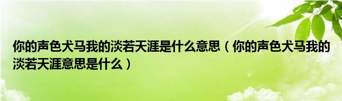 你的声色犬马我的淡若天涯是什么意思(你的声色犬马我的淡若天涯意思是什么)