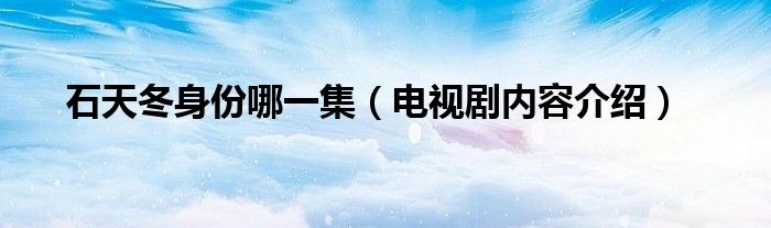 石天冬身份哪一集(电视剧内容介绍)