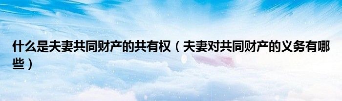 什么是夫妻共同财产的共有权(夫妻对共同财产的义务有哪些)