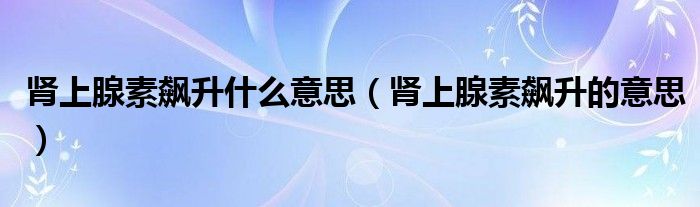 肾上腺素飙升什么意思(肾上腺素飙升的意思)