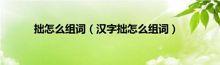 拙怎么组词(汉字拙怎么组词)