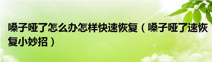 嗓子哑了怎么办怎样快速恢复(嗓子哑了速恢复小妙招)