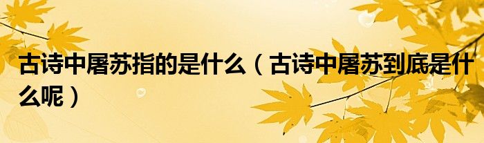 古诗中屠苏指的是什么(古诗中屠苏到底是什么呢)