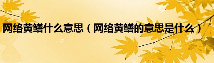 网络黄鳝什么意思(网络黄鳝的意思是什么)