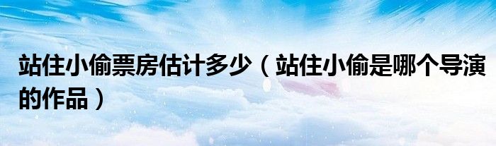 站住小偷票房估计多少(站住小偷是哪个导演的作品)