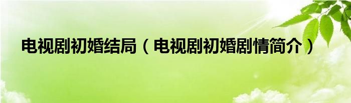 电视剧初婚结局(电视剧初婚剧情简介)