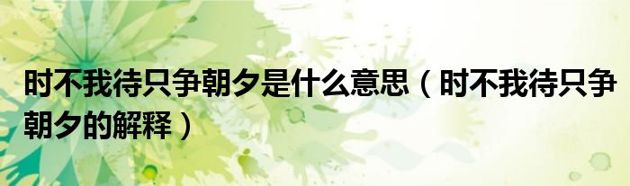 时不我待只争朝夕是什么意思(时不我待只争朝夕的解释)