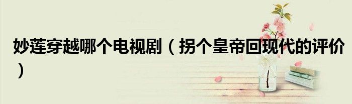 妙莲穿越哪个电视剧(拐个皇帝回现代的评价)