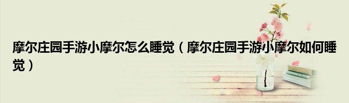 摩尔庄园手游小摩尔怎么睡觉(摩尔庄园手游小摩尔如何睡觉)