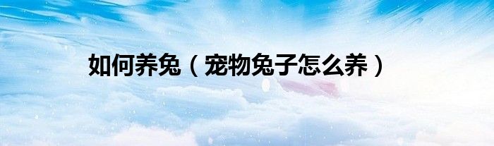 如何养兔(宠物兔子怎么养)