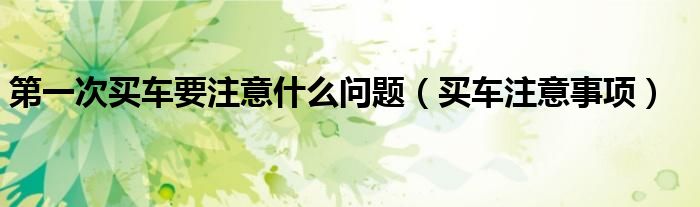 第一次买车要注意什么问题(买车注意事项)