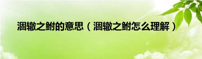涸辙之鲋的意思(涸辙之鲋怎么理解)
