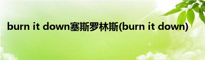 burn it down塞斯罗林斯(burn it down)